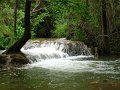 (96) 2010 Sillans La Cascade